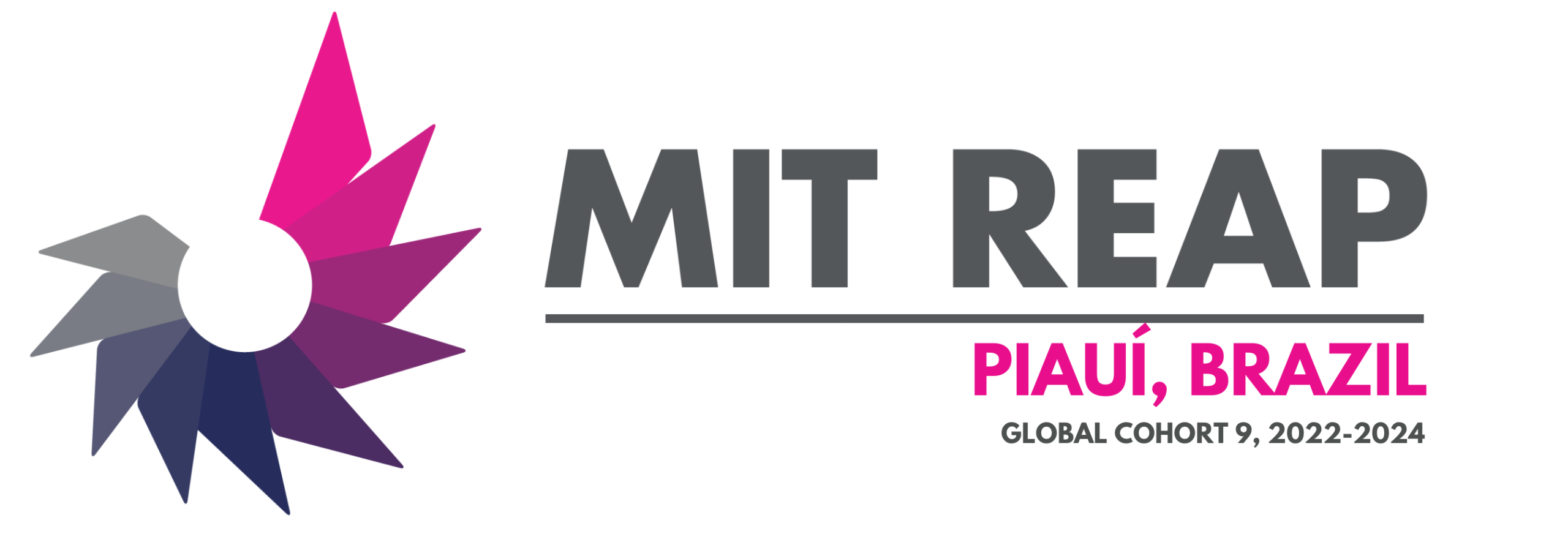 MITREAP LOGO